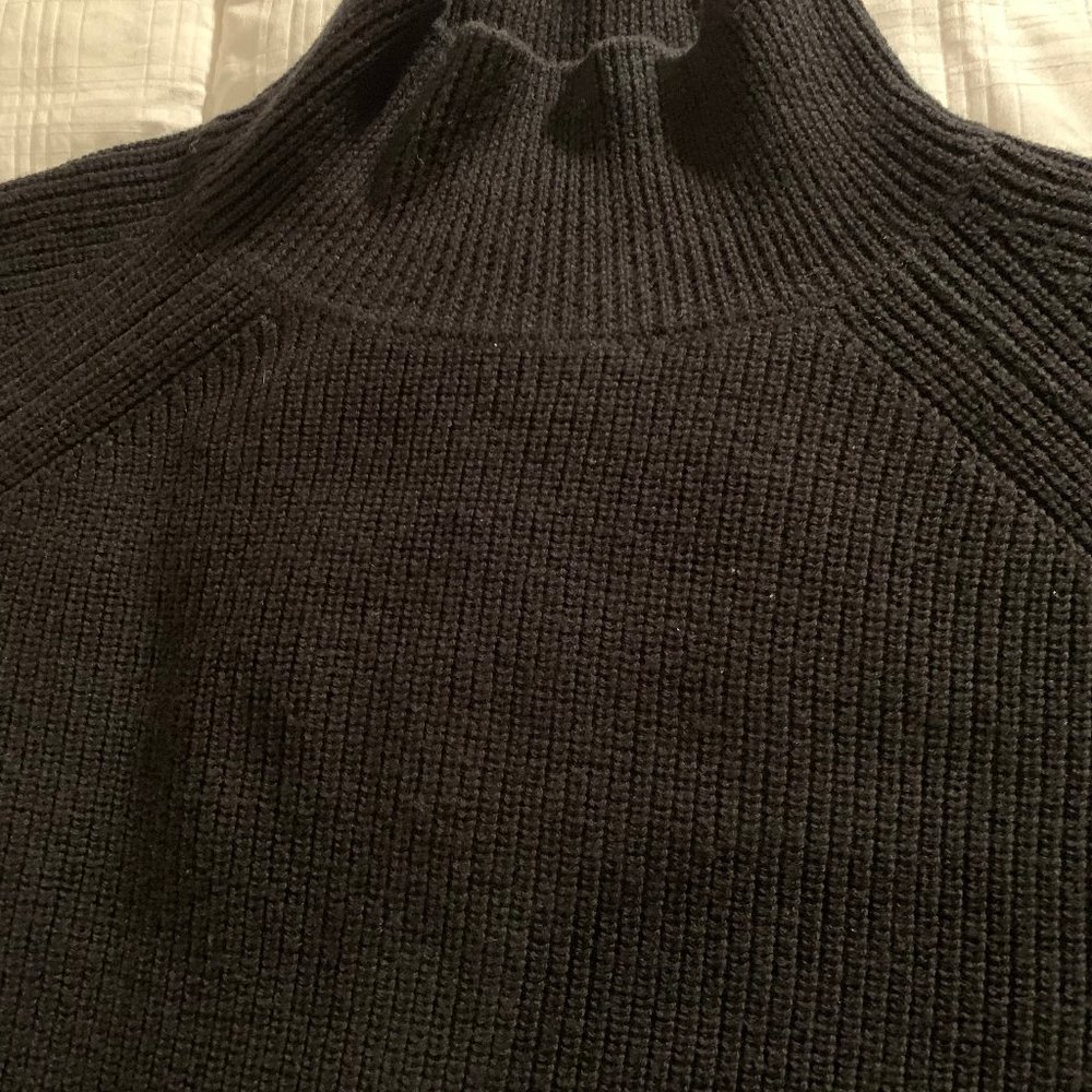 Black merino wool mock turtleneck Eileen Fisher Size Petite NWOT